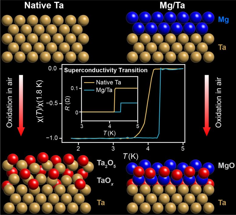 Molecular Schematics Showing Protection From Oxidation